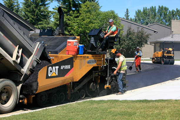 Best Driveway Paver Repair  in Abernathy, TX
